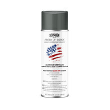Load image into Gallery viewer, #11-1 Seymour Great American Aluminum Spray Enamel 10oz