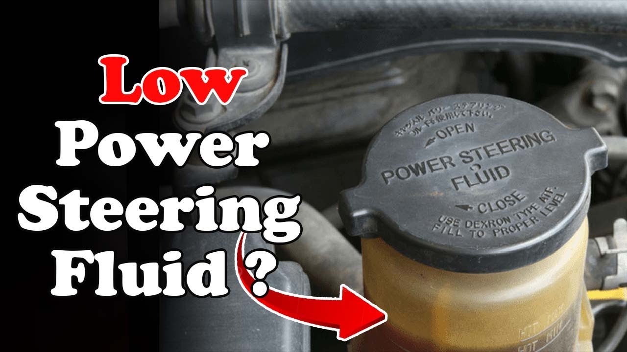 #2812 Johnsens Power Steering Fluid 12 fl. oz