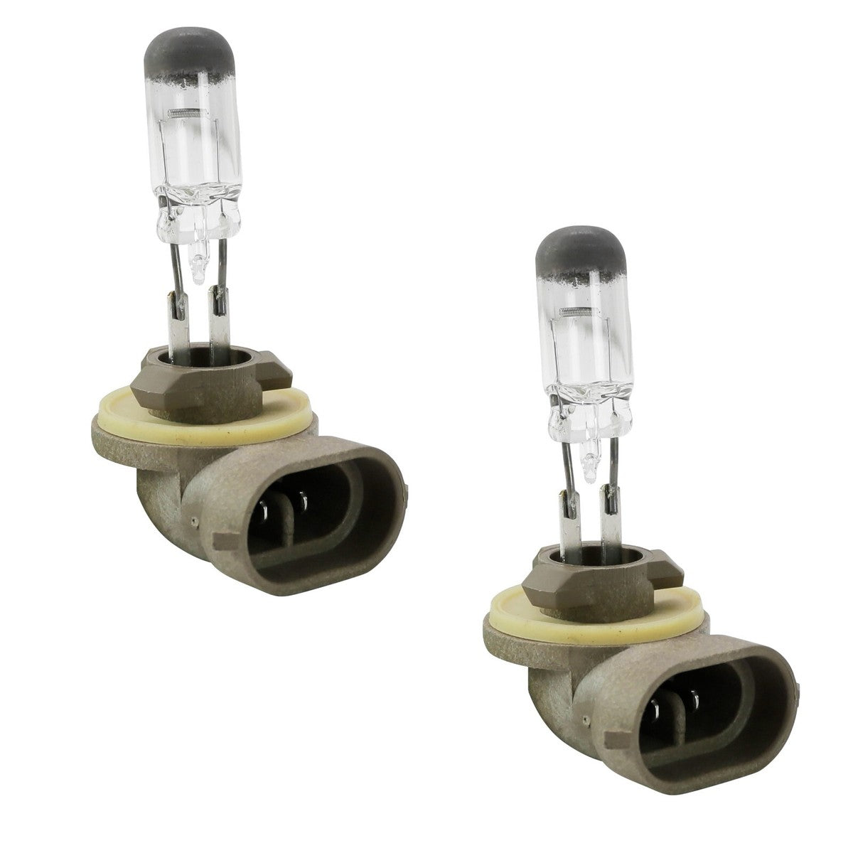 #898 Halogen T3 1-4 12V 37W PGJ13 Bulb Pack of 10