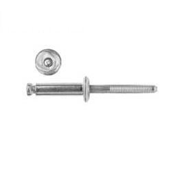 #AV11621 Rivet Long 1-4" Window Reg.Peel Type 10 Pack
