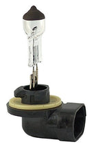 Load image into Gallery viewer, #898 Halogen T3 1-4 12V 37W PGJ13 Bulb - DencoDistributing
